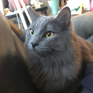 Meet your Posher, Anna